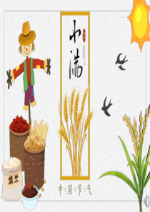 小滿節(jié)氣二十四中國傳統(tǒng)ppt模板小滿節(jié)氣滿于