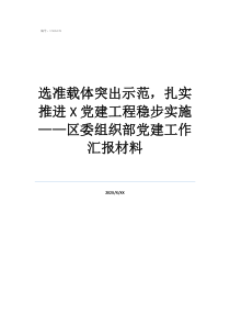 單位工作總結(jié)材料范文選準載體突出示范，扎實推進黨建工程穩(wěn)步實施——區(qū)委組織部黨建工作匯報材料