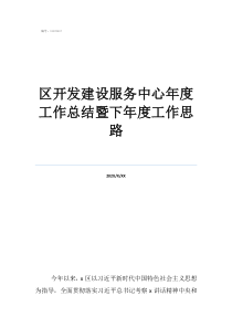 你入職后如何開(kāi)展工作區(qū)開(kāi)發(fā)建設(shè)服務(wù)中心年度工作總結(jié)暨下年度工作思路