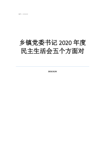 鄉(xiāng)鎮(zhèn)黨委書記2020年度民主生活會五個方面對