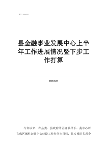 深圳金融中心縣金融事業(yè)發(fā)展中心上半年工作進展情況暨下步工作打算