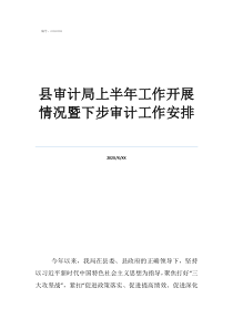 審計局是什么部門縣審計局上半年工作開展情況暨下步審計工作安排