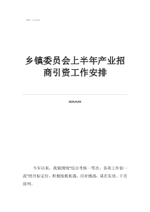 洛新產(chǎn)業(yè)區(qū)招商引資鄉(xiāng)鎮(zhèn)委員會(huì)上半年產(chǎn)業(yè)招商引資工作安排
