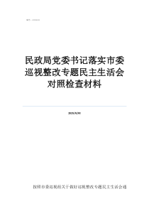 民政局黨委書記落實市委巡視整改專題民主生活會對照檢查材料