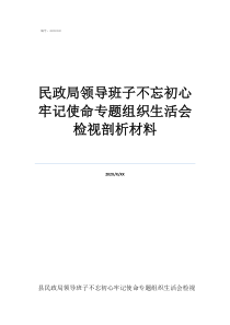 民警職級晉升評價意見民政局領導班子不忘初心牢記使命專題組織生活會檢視剖析材料