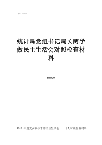 統(tǒng)計局黨組書記局長兩學(xué)做民主生活會對照檢查材料