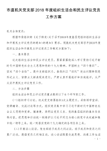 市直機(jī)關(guān)黨支部2018年度組織生活會(huì)和民主評(píng)議黨員工作方案