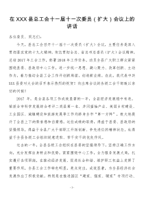 工會經(jīng)費在XXX縣總工會十一屆十一次委員（擴大）會議上的講話 
