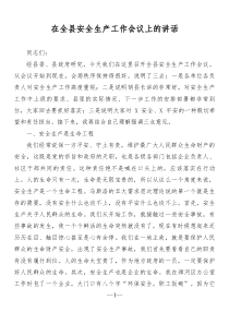 在全縣安全生產(chǎn)工作會議上的講話