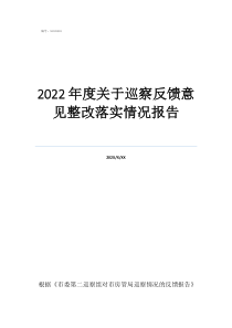 巡察反饋問題及整改措施2022年度關(guān)于巡察反饋意見整改落實(shí)情況報(bào)告