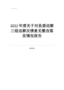 巡察整改黨內(nèi)公開2022年度關(guān)于對(duì)縣委巡察三組巡察反饋意見整改落實(shí)情況報(bào)告