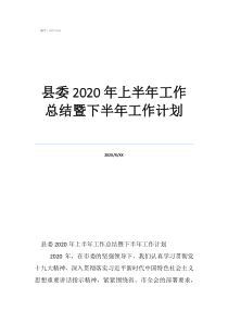 計劃部主管工作總結縣委2020年上半年工作總結暨下半年工作計劃