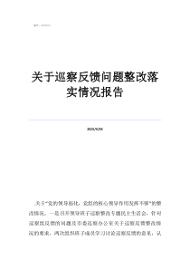 關(guān)于巡察反饋問題整改落實情況報告