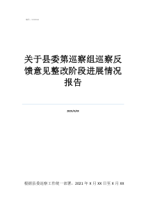 關(guān)于縣委第巡察組巡察反饋意見整改階段進(jìn)展情況報(bào)告
