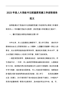 2023年縣人大黨組書(shū)記抓基層黨建工作述職報(bào)告docx