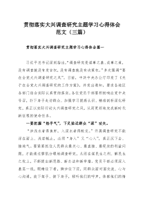 貫徹落實大興調(diào)查研究主題學(xué)習(xí)心得體會范文（三篇）