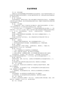 資金預(yù)算制度
