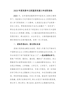 2023年黨委（工委）書(shū)記抓基層黨建工作述職報(bào)告范文