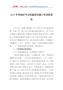 2023年黨組織書記抓基層黨建工作述職報告