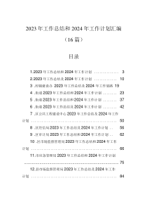 2023年工作總結(jié)和2024年工作計(jì)劃匯編（16篇）