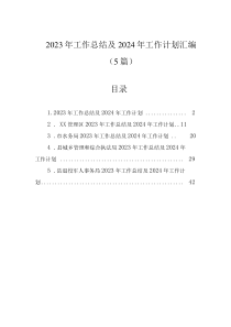 2023年工作總結(jié)及2024年工作計劃匯編（5篇）