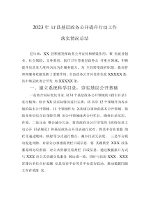 2023年XX縣基層政務(wù)公開提升行動工作落實(shí)情況總結(jié)