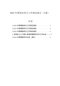 2023年禁毒宣傳月工作情況報告（5篇）