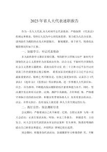 2023年省人大代表述職報(bào)告