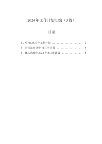 2024年工作計(jì)劃匯編（3篇）