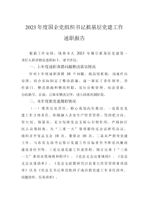 2023年度國企黨組織書記抓基層黨建工作述職報告