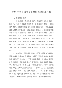 2023年黨組織書記抓基層黨建述職報告