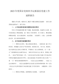2023年度國企黨組織書記抓基層黨建工作述職報告