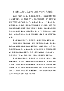 牢固樹立核心意識(shí)堅(jiān)決維護(hù)黨中央權(quán)威