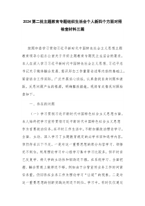 2024第二批主題教育專題組織生活會(huì)個(gè)人新四個(gè)方面對(duì)照檢查材料三篇