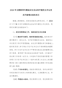 2024年主題教育專(zhuān)題組織生活會(huì)和開(kāi)展民主評(píng)議黨員開(kāi)展情況報(bào)告范文2篇