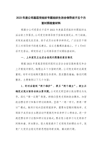 2023年度公司基層黨組織專題組織生活會(huì)領(lǐng)導(dǎo)班子五個(gè)方面對(duì)照檢查材料