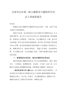 支部書記在第二批主題教育專題組織生活會上的述職報告