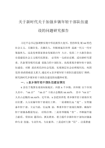 關(guān)于新時(shí)代關(guān)于加強(qiáng)鄉(xiāng)鎮(zhèn)年輕干部隊(duì)伍建設(shè)的問題研究報(bào)告