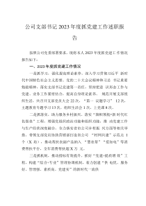 公司支部書記2023年度抓黨建工作述職報(bào)告