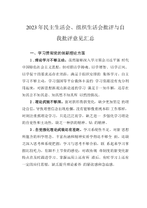 2023年民主生活會、組織生活會批評與自我批評意見匯總
