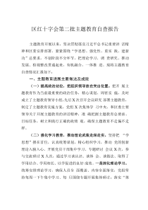 區(qū)紅十字會(huì)第二批主題教育自查報(bào)告
