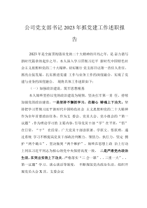 公司黨支部書(shū)記2023年抓黨建工作述職報(bào)告