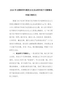 2024年主題教育專題民主生活會(huì)領(lǐng)導(dǎo)班子問(wèn)題整改實(shí)施方案范文
