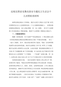 巡視反饋意見整改落實專題民主生活會個人對照檢查材料