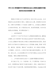 學習2024貫徹新時代中國特色社會主義思想主題教育專題組織生活會發(fā)言提綱3篇