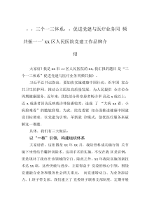 “三個(gè)一三體系”促進(jìn)黨建與醫(yī)療業(yè)務(wù)同頻共振——xx區(qū)人民醫(yī)院黨建工作品牌介紹