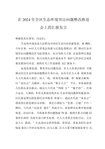 在2024年全區(qū)生態(tài)環(huán)境突出問題整改推進(jìn)會(huì)上的匯報(bào)發(fā)言