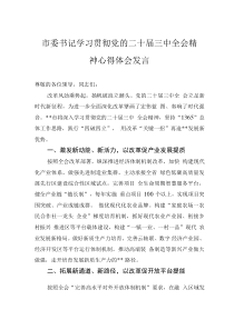 市委書記學(xué)習(xí)貫徹黨的二十屆三中全會(huì)精神心得體會(huì)發(fā)言