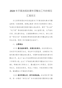 2024年開展違規(guī)吃喝專項整治工作的情況匯報范文