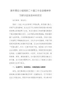 青年理論小組黨的二十屆三中全會(huì)精神學(xué)習(xí)研討會(huì)發(fā)言材料范文